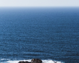 2 semanas Celine & Andy feliz en Galicia 2015